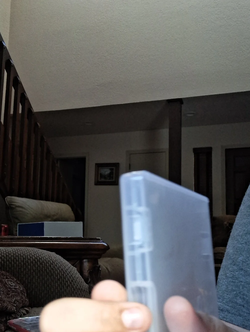 Translucent Nintendo Game/Card Storage Case